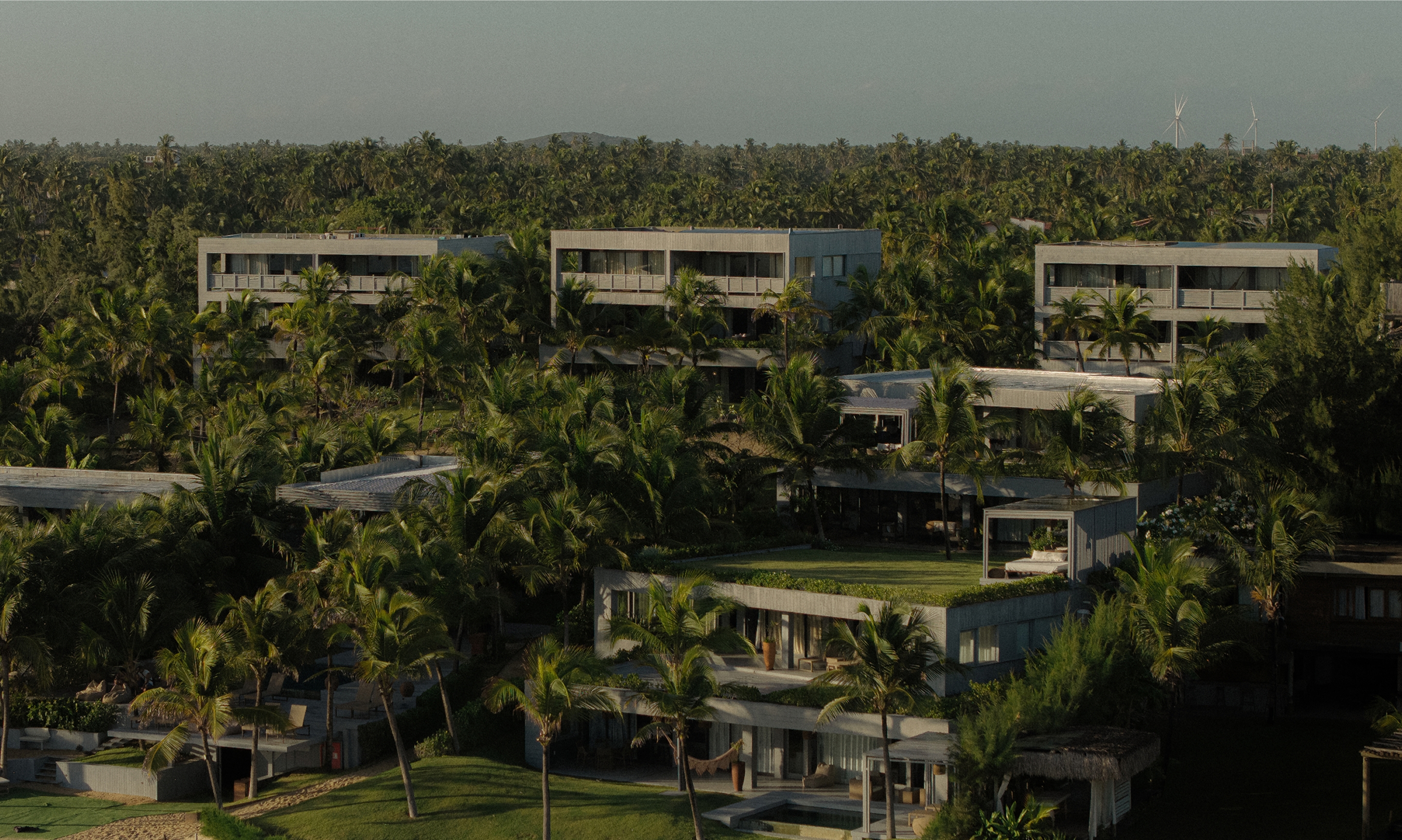 Aerial view of Club de Mar among palm trees
