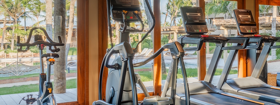 Gym with treadmills and a bike, overlooking the garden and palm trees.